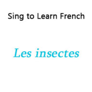 Les insectes – Insects